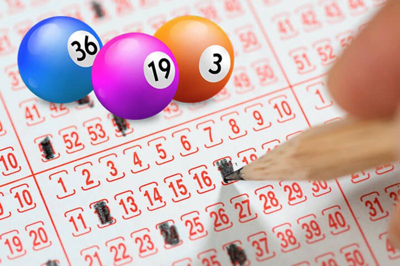 Best Platform for Quality Online Lottery Experience